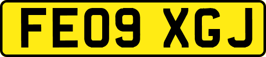 FE09XGJ