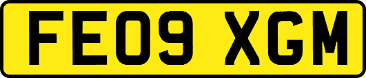 FE09XGM