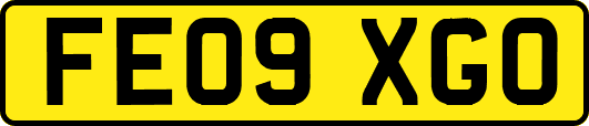FE09XGO