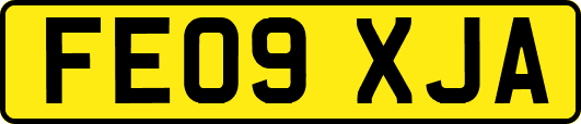 FE09XJA