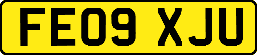 FE09XJU