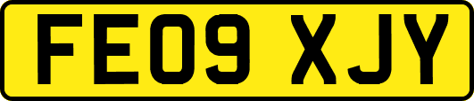 FE09XJY