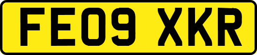 FE09XKR