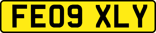 FE09XLY