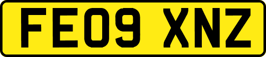 FE09XNZ