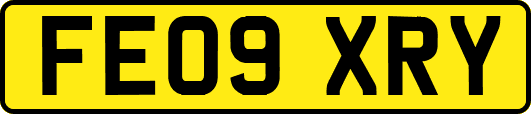 FE09XRY
