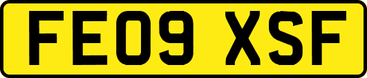 FE09XSF