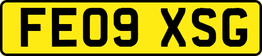 FE09XSG