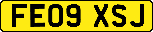 FE09XSJ