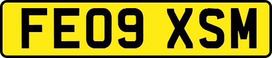 FE09XSM