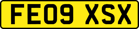 FE09XSX