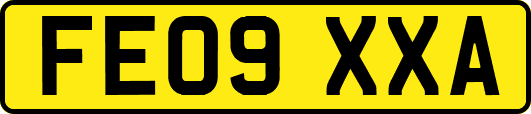 FE09XXA