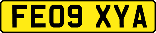 FE09XYA