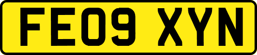 FE09XYN