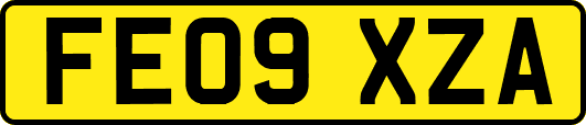 FE09XZA