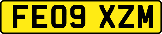 FE09XZM