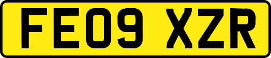 FE09XZR