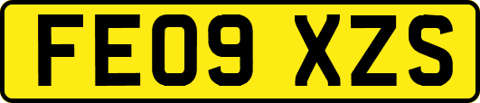 FE09XZS