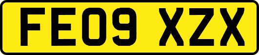 FE09XZX