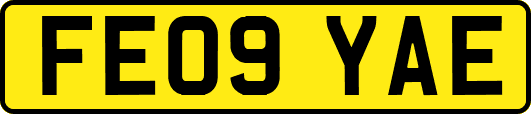 FE09YAE