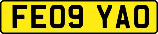 FE09YAO