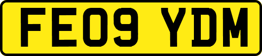 FE09YDM