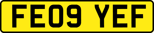 FE09YEF