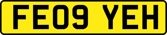 FE09YEH