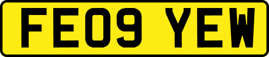 FE09YEW