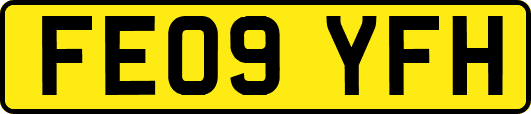 FE09YFH