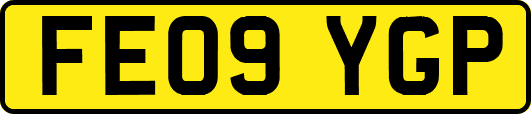FE09YGP