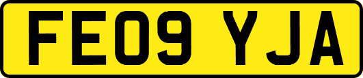 FE09YJA