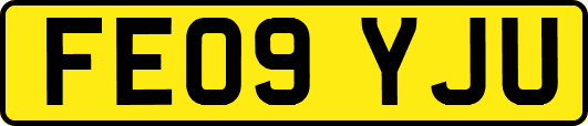 FE09YJU