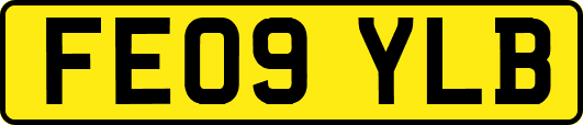 FE09YLB