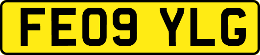 FE09YLG