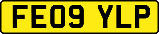FE09YLP