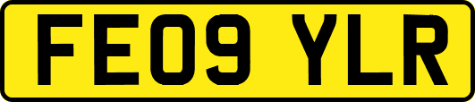FE09YLR