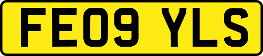 FE09YLS
