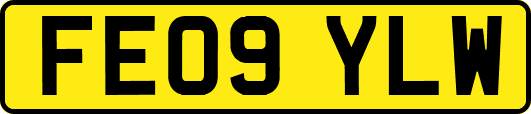 FE09YLW