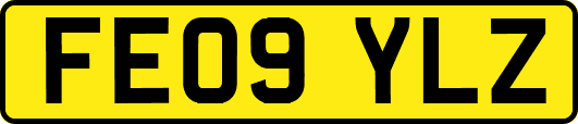 FE09YLZ