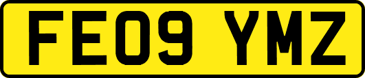 FE09YMZ