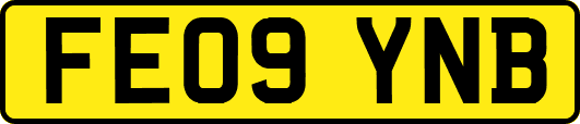 FE09YNB