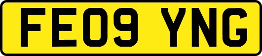 FE09YNG