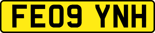 FE09YNH