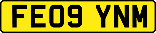 FE09YNM
