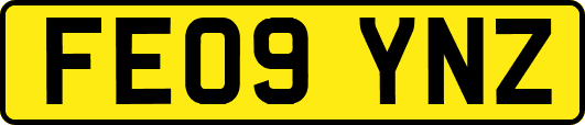 FE09YNZ