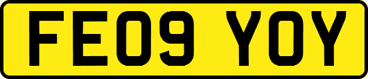 FE09YOY