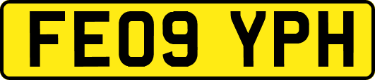 FE09YPH