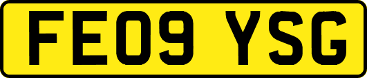 FE09YSG