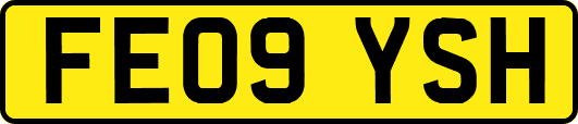 FE09YSH